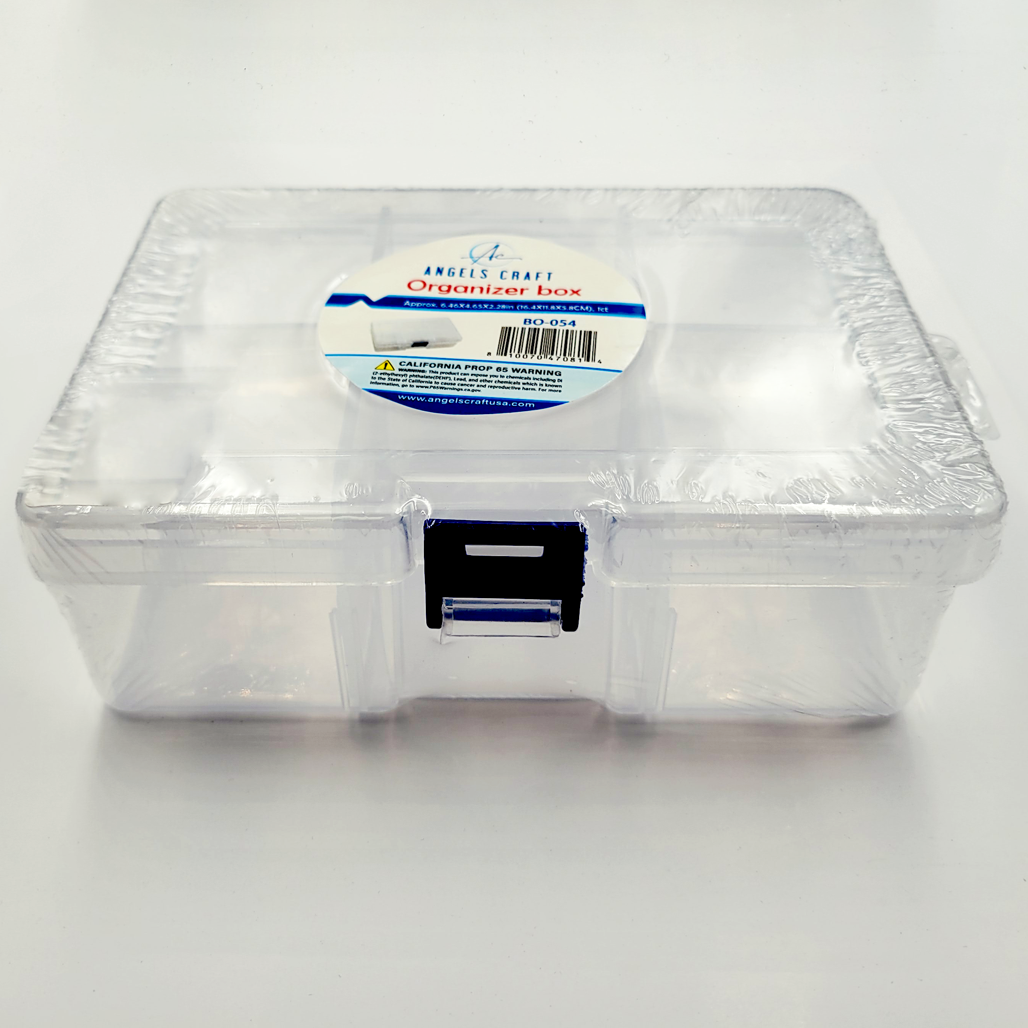 Clear Plastic Container w/ 6 compartments, 1-ct