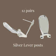 12 Pairs - Silver Lever Posts