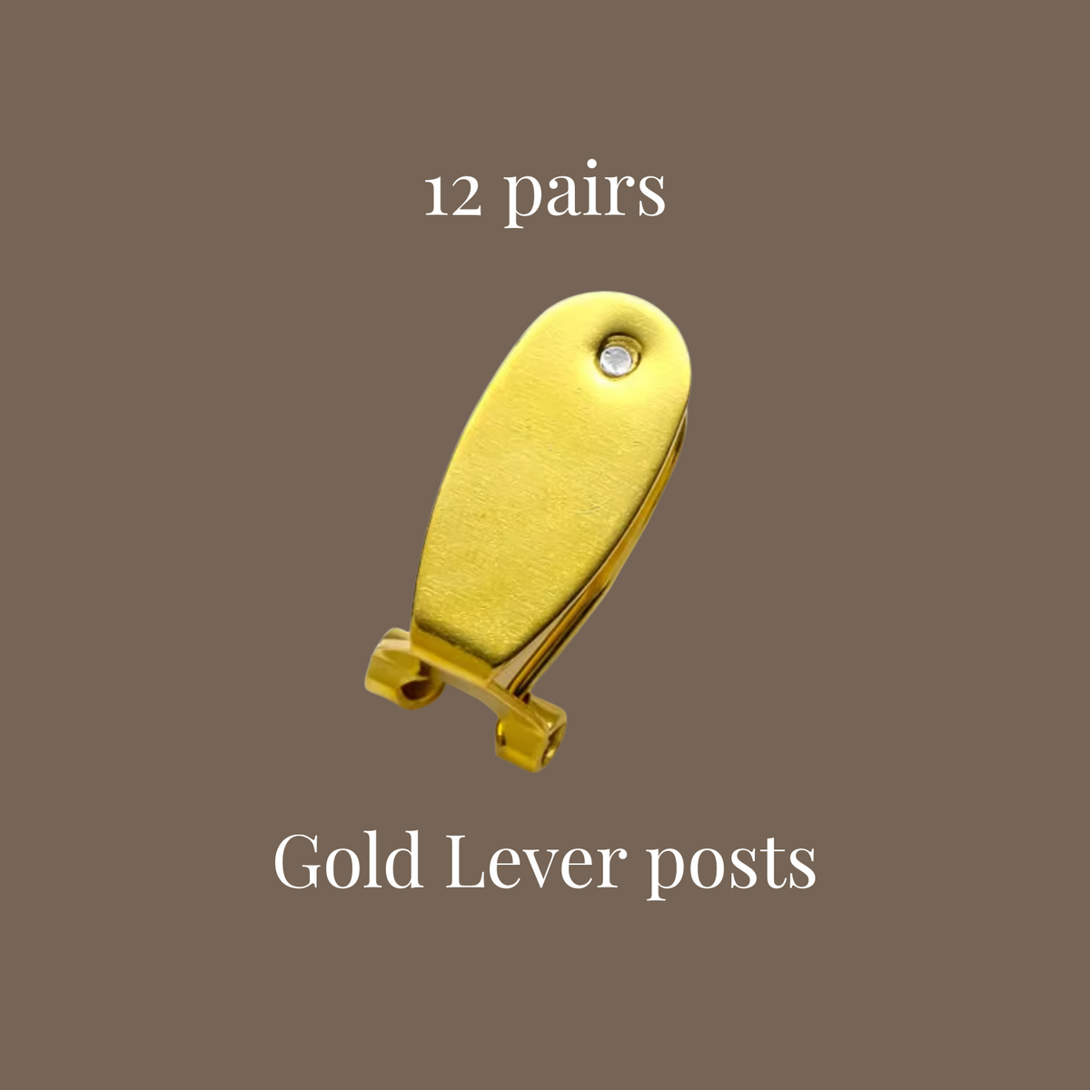 12 Pairs - Gold Leverposts
