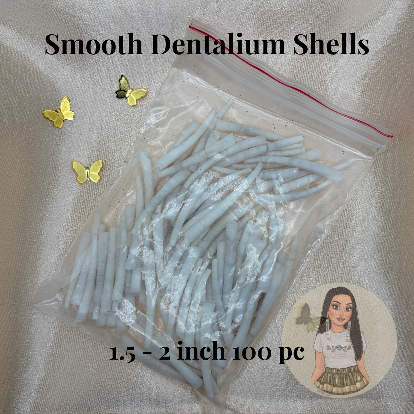 Dentalium Shells - 1.5-2 inch smooth 100 pc