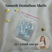 Dentalium Shells - .75-1 inch smooth 100 pc